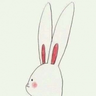 兔子有耳朵